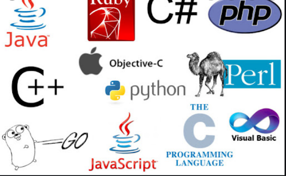 Ngôn ngữ lập trình bao gồm những loại nào