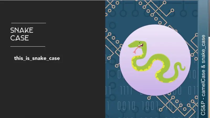 Coding convention là gì? cú pháp con rắn là gì?