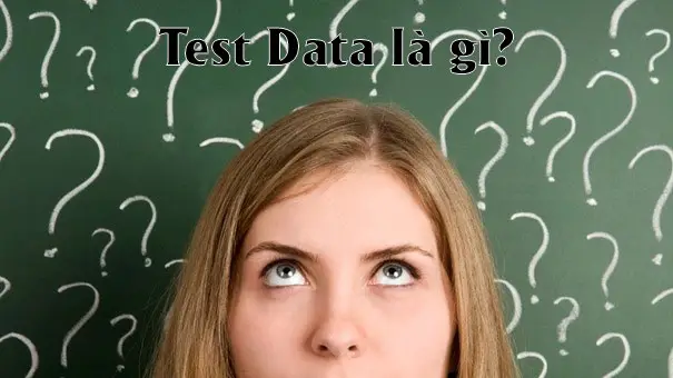 Test data là gì? Tại sao nó lại quan trọng