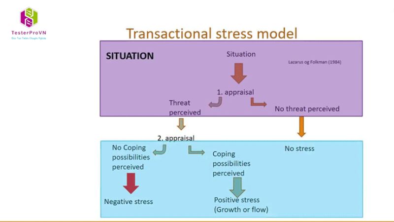 Transactional Stress Testing