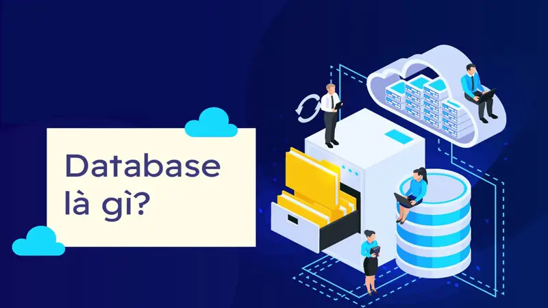 Database là gì? Tổng hợp các loại database cơ bản