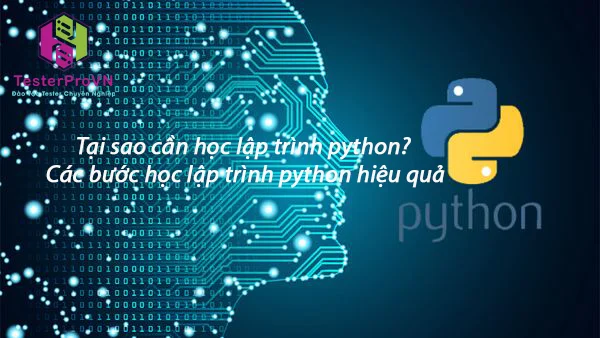 Tại sao cần học lập trình python? Các bước học lập trình python hiệu quả