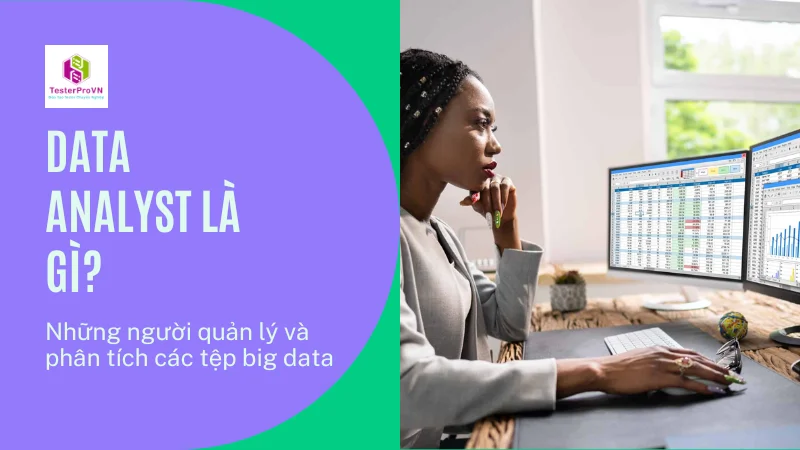 Data analyst là gì? Công việc của những người làm việc với dữ liệu