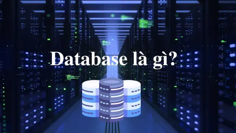 Cơ sở dữ liệu là gì? Tổng hợp những kiến thức có liên quan tới cơ sở dữ liệu